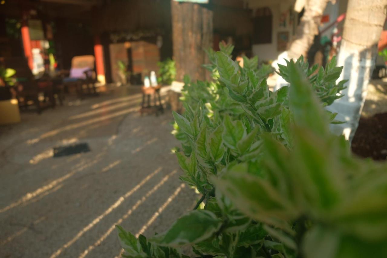 Near Lake Hostal Bacalar Bagian luar foto